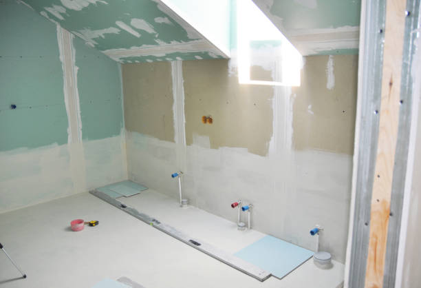 Best Mold Damage Restoration  in Homeland, GA